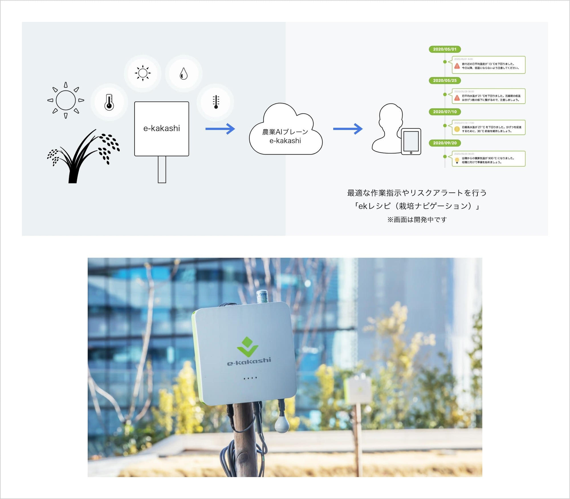 データ活用で稲の最適な生育環境へナビゲート