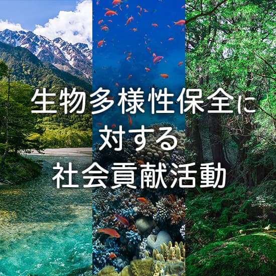 生物多様性保全に対する社会貢献活動